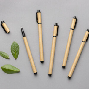 Bamboo Pen