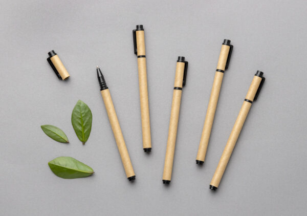 Bamboo Pen